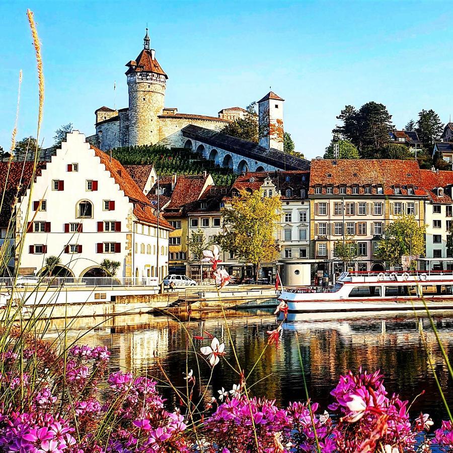 Apartment Suedwind - Beautiful Premium Apartment With 2 Bedrooms Near Rhine Falls & Zurich Airport In Klettgau Weisweil  Εξωτερικό φωτογραφία